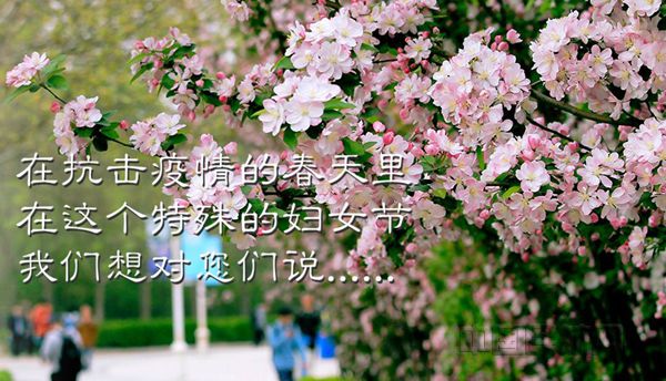 0 首页图_副本.jpg