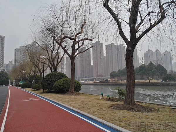 慢行系统串起了虹桥临空和上海市区的多个绿地景观群.jpg