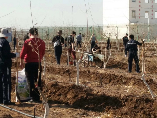 打造瓜果飘香特色机场2.jpg 打造瓜果飘香特色机场2.jpg