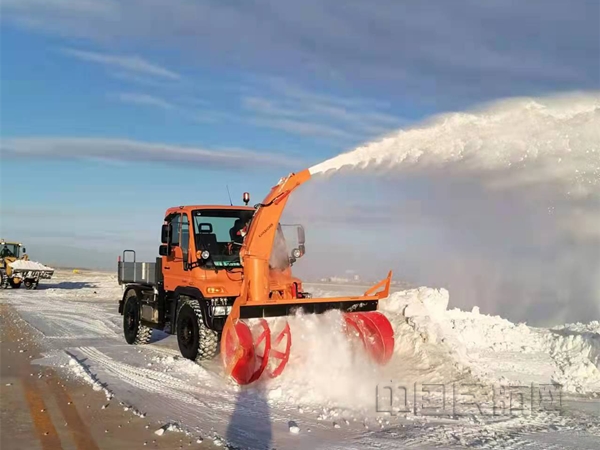 nEO_IMG_图片 4.jpg