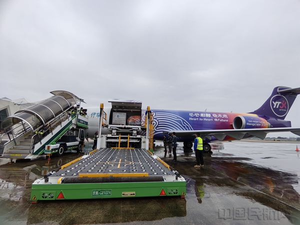 mmexport1766733275139