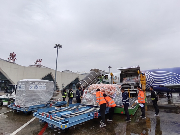 mmexport1766733304401