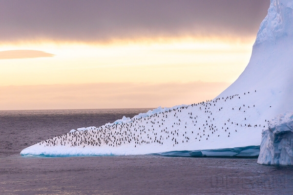 lADPAYbMbp3eK3_NAyHNBLA_1200_801.jpg lADPAYbMbp3eK3_NAyHNBLA_1200_801.jpg