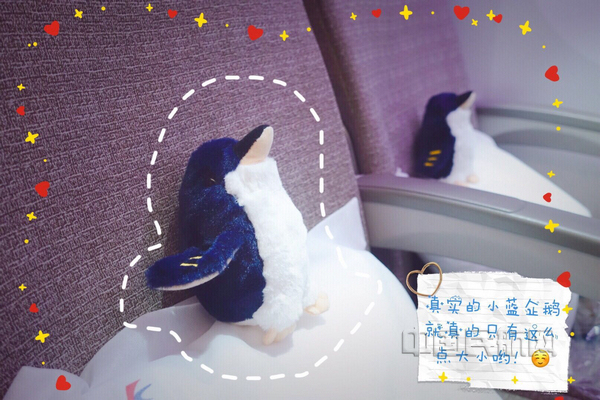 nEO_IMG_小蓝企业“飞”上万米高空的航班-上航供图.jpg nEO_IMG_小蓝企业“飞”上万米高空的航班-上航供图.jpg