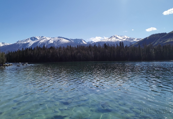 水印1.jpg 水印1.jpg