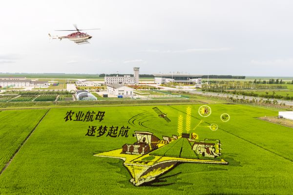 大荒雄鹰航化作业1650万亩保粮食安全-中国民航网