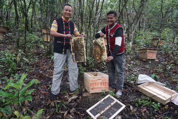 东航沧源蜜蜂产业基地里，东航派驻干部与乡亲喜看蜂蜜丰收-东航供图.jpg