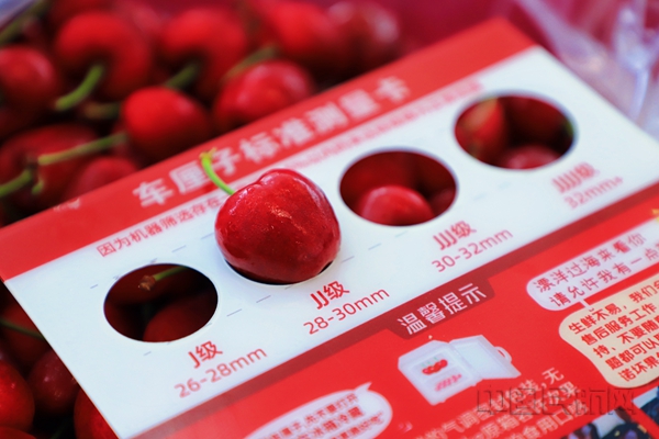 航班运来的智利车厘子