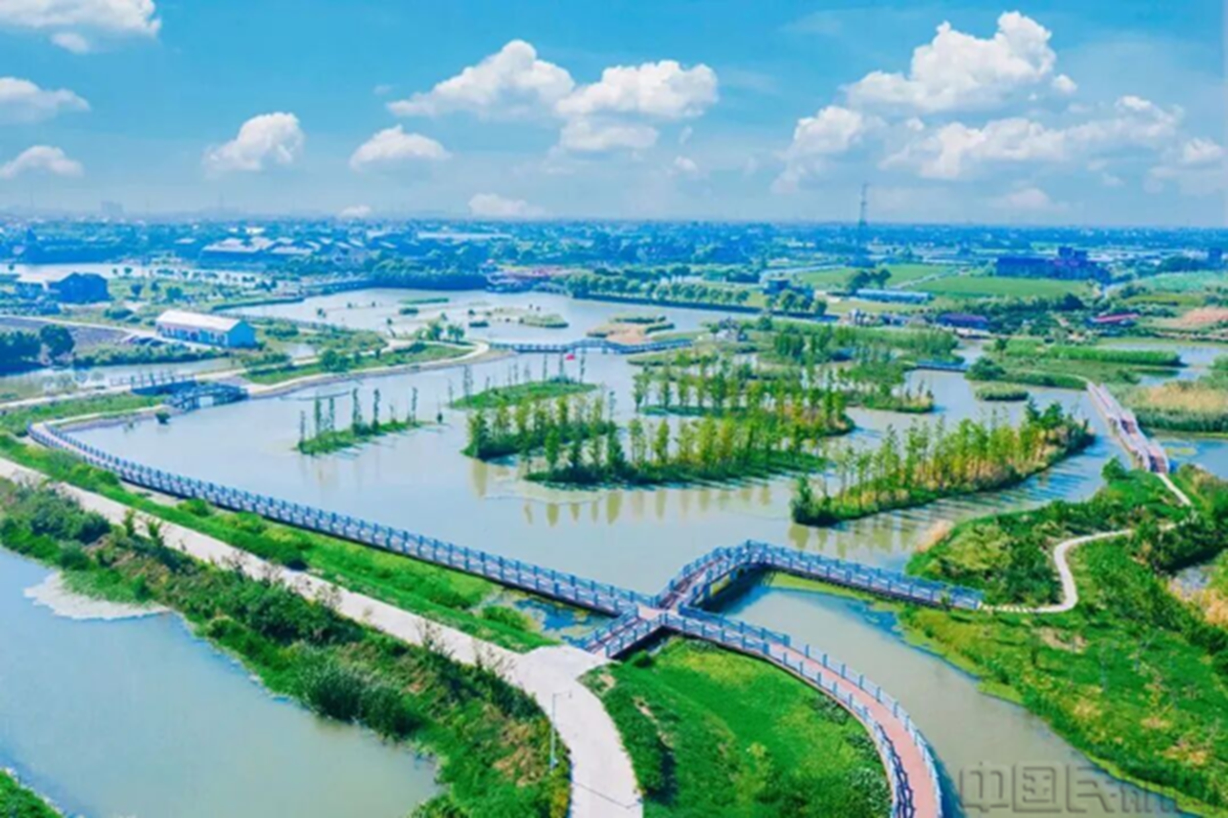 图片 5