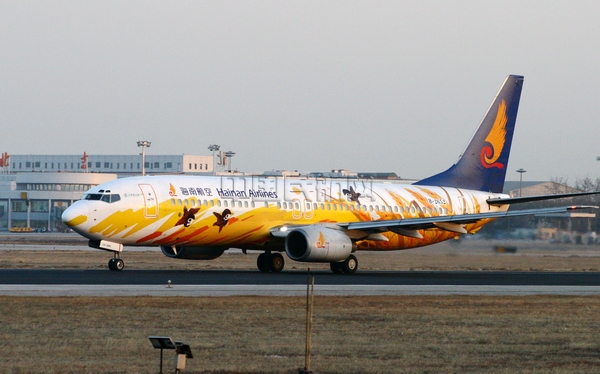 海南航空 金穗飘香 波音737-800（陈北/摄）